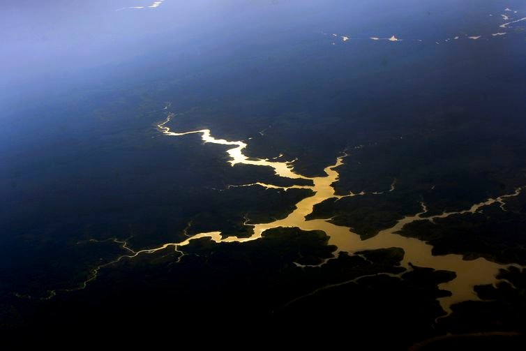 Valter Campanato/Agência Brasil Vista aérea de floresta e rios da Amazônia