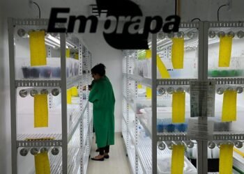 Entra em vigor lei que garante isenção de taxas para Embrapa – Notícias