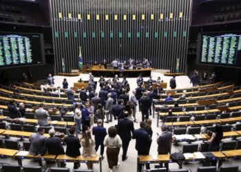 Gás do Povo: medida aprovada prevê instalação de biodigestores para famílias de áreas rurais – Notícias