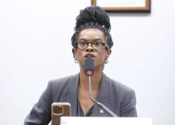 Eleita presidente da Comissão de Cultura, Carol Dartora defende valorização dos profissionais do setor – Notícias