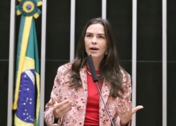 Comissão aprova projeto que impede uso do princípio da insignificância em crimes contra mulher – Notícias