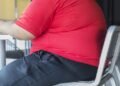 Comissão debate dados do Atlas Mundial da Obesidade 2026; participe – Notícias