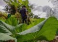 Projeto cria programa de assentamentos produtivos perto de cidades