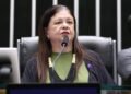 Projeto de lei transforma combate ao feminicídio em política permanente de Estado