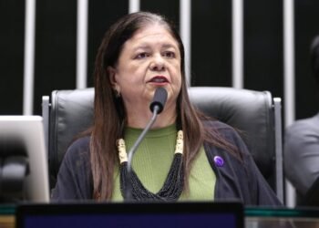 Projeto de lei transforma combate ao feminicídio em política permanente de Estado