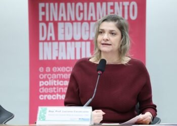 Comissão Mista de Orçamento recebe sugestões para o financiamento de creches e pré-escolas
