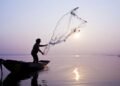 Comissão debate impactos da moratória da pesca da piracatinga na Região Amazônica
