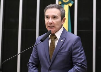 Projeto cria programa para proteger animais em aglomerações e ruídos intensos