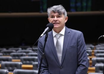 Projeto cria política de incentivo à integração lavoura-pecuária-floresta